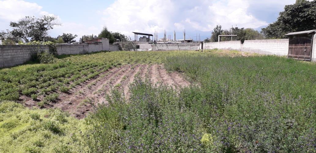 Re/max Futuro Vende Ideal Terreno en Tumbaco de 2003 m² Usd $220.000 — imagen 7