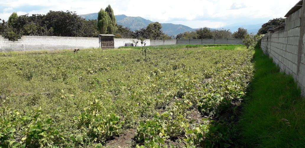 Re/max Futuro Vende Ideal Terreno en Tumbaco de 2003 m² Usd $220.000 — imagen 6