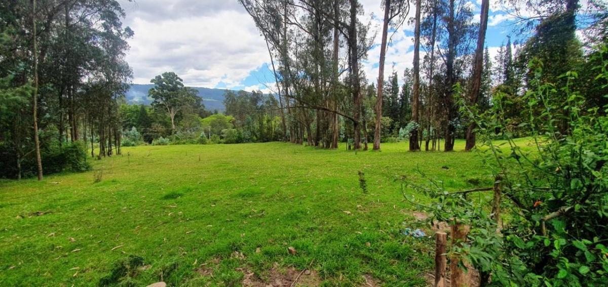 Se Vende Terreno en Amaguaña — imagen 5