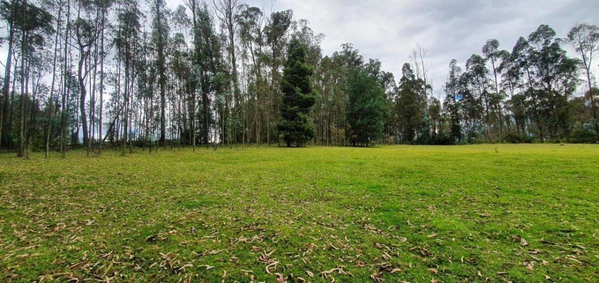 Se Vende Terreno en Amaguaña — imagen 3