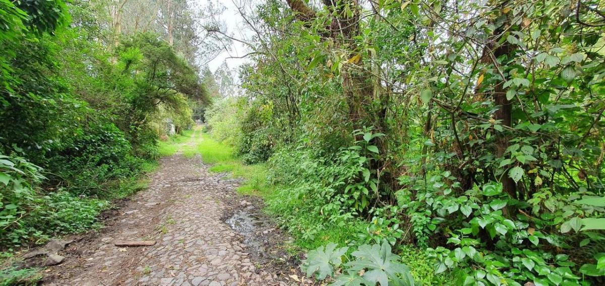 Se Vende Terreno en Amaguaña — imagen 7