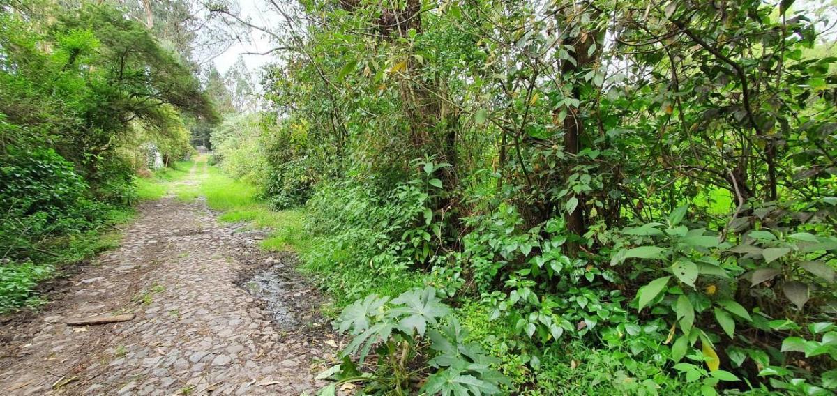 Se Vende Terreno en Amaguaña — imagen 6