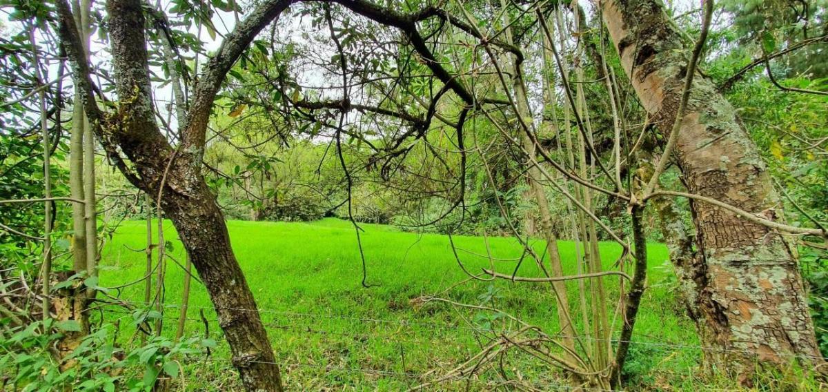 Se Vende Terreno en Amaguaña — imagen 5