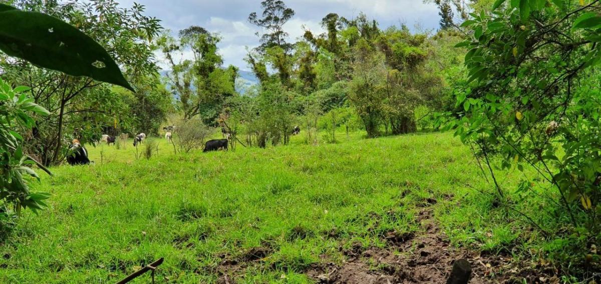 Se Vende Terreno en Amaguaña — imagen 4