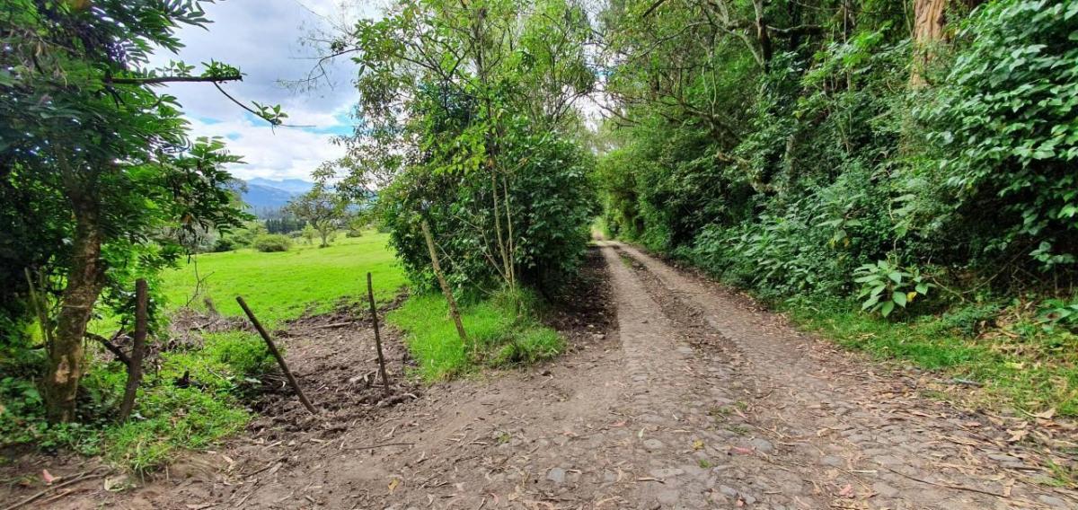 Se Vende Terreno en Amaguaña — imagen 3