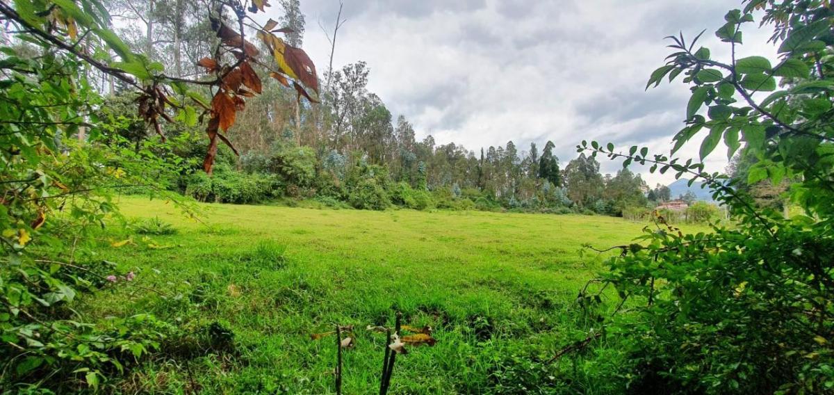 Se Vende Terreno en El Sector de Amaguaña — imagen 4