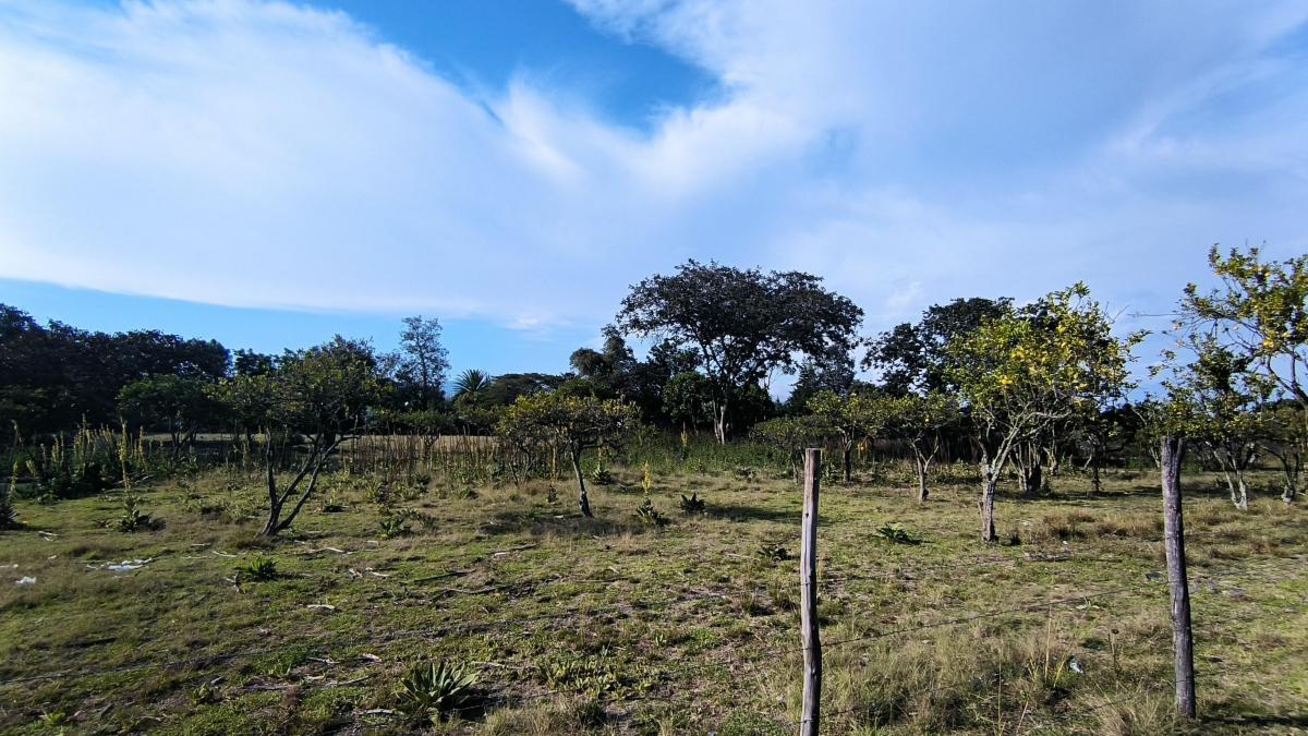 En Venta Lote Plano de 12100 m² en Collaquí - Tumbaco Sector Consolidado — imagen 5