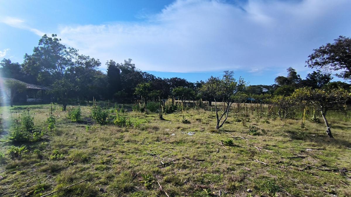 En Venta Lote Plano de 12100 m² en Collaquí - Tumbaco Sector Consolidado — imagen 4