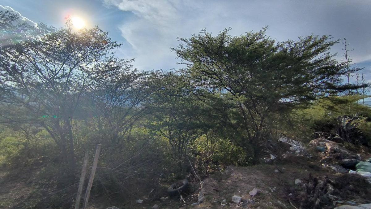 En Venta Lote Esquinero de 19000 m² en Collaqui Tumbaco Sector Consolidado — imagen 9