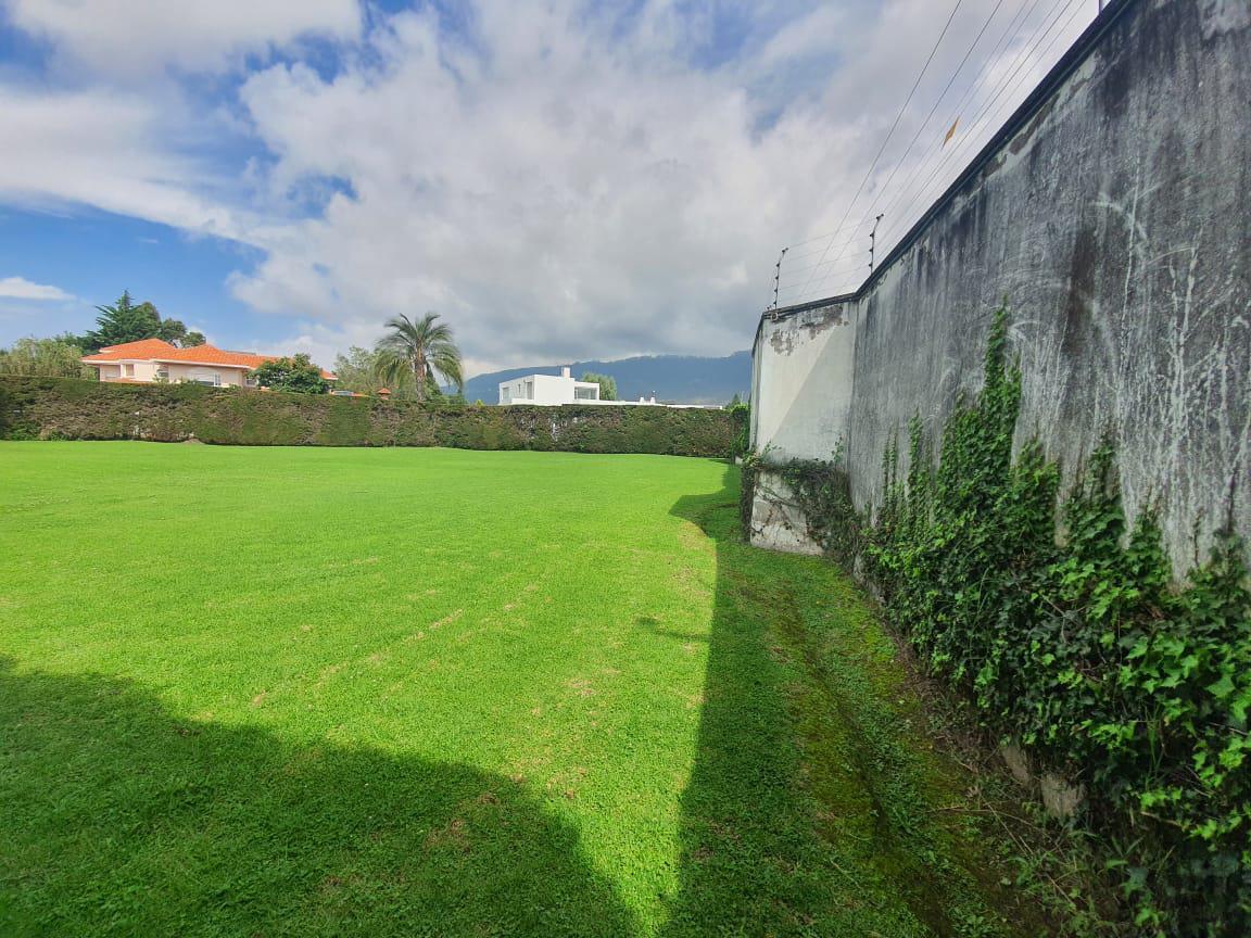 Terreno de Venta en Una de Las Mejores Urbanizaciones de Cumbayá. Ultimo Terreno de La Urbanización — imagen 7