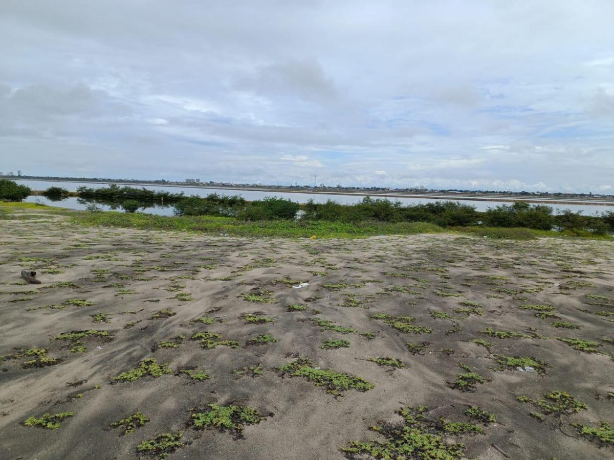 Terreno en Venta Mar Bravo Salinas - T. del Valle — imagen 6