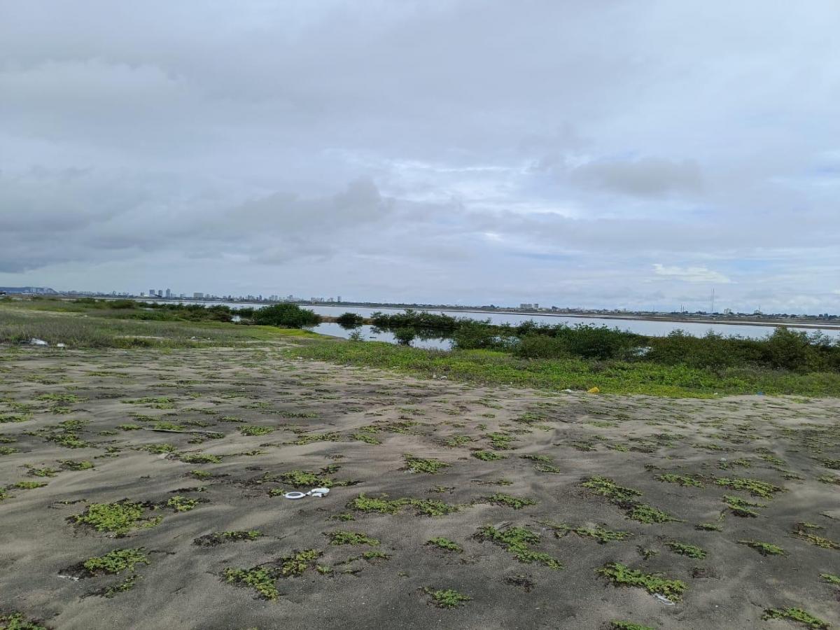 Terreno en Venta Mar Bravo Salinas - T. del Valle — imagen 4