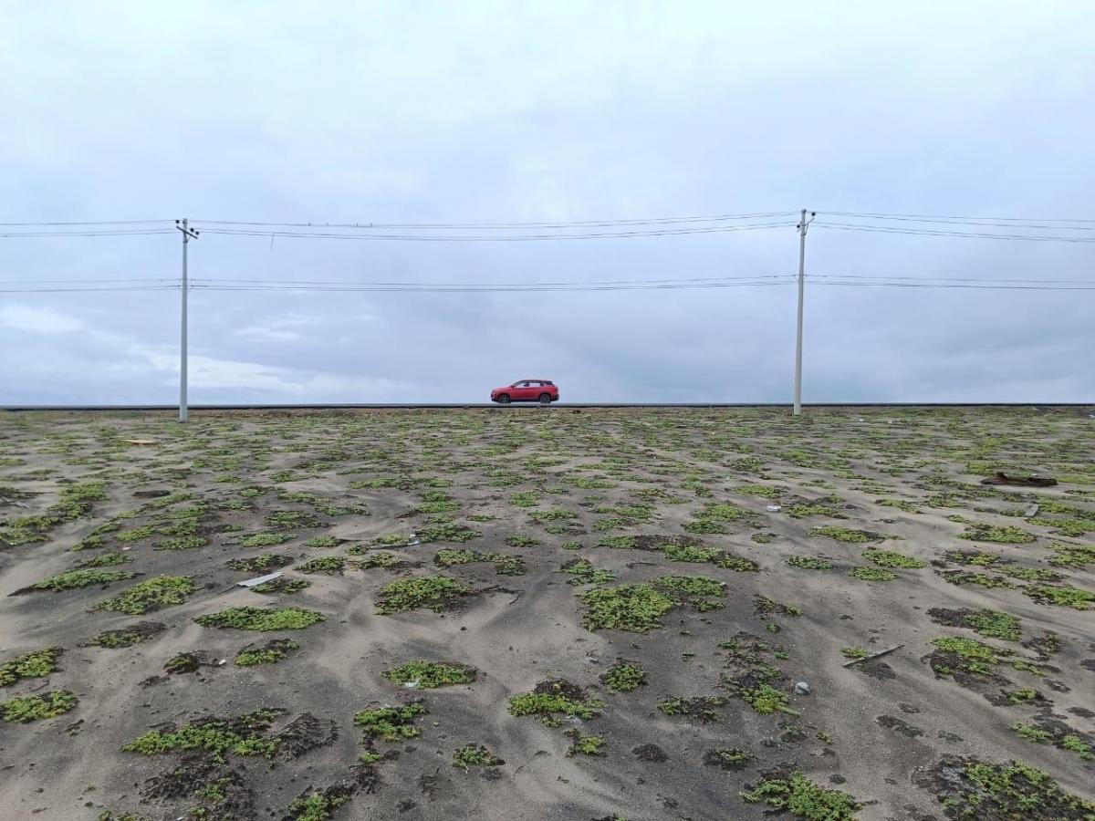 Terreno en Venta Mar Bravo Salinas - T. del Valle — imagen 3