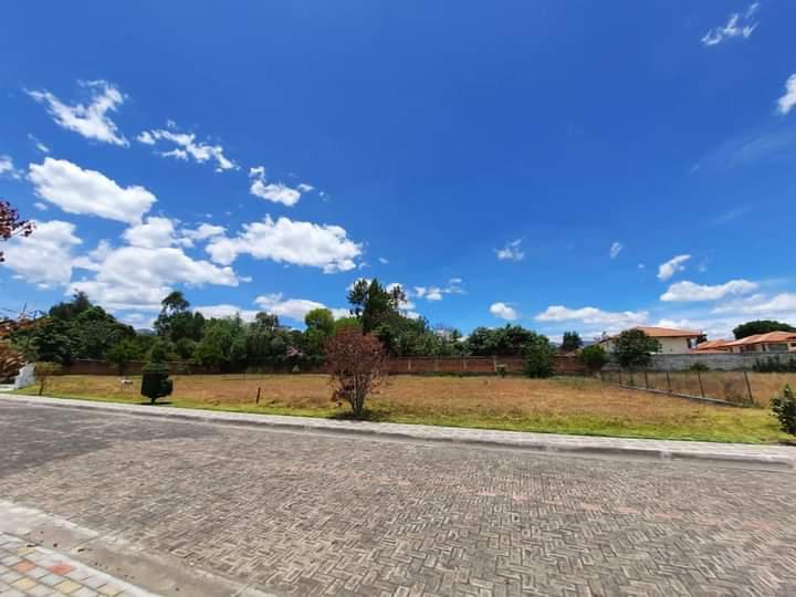 Terreno de Venta Dentro de Urbanizacion en Tumbaco — imagen 10