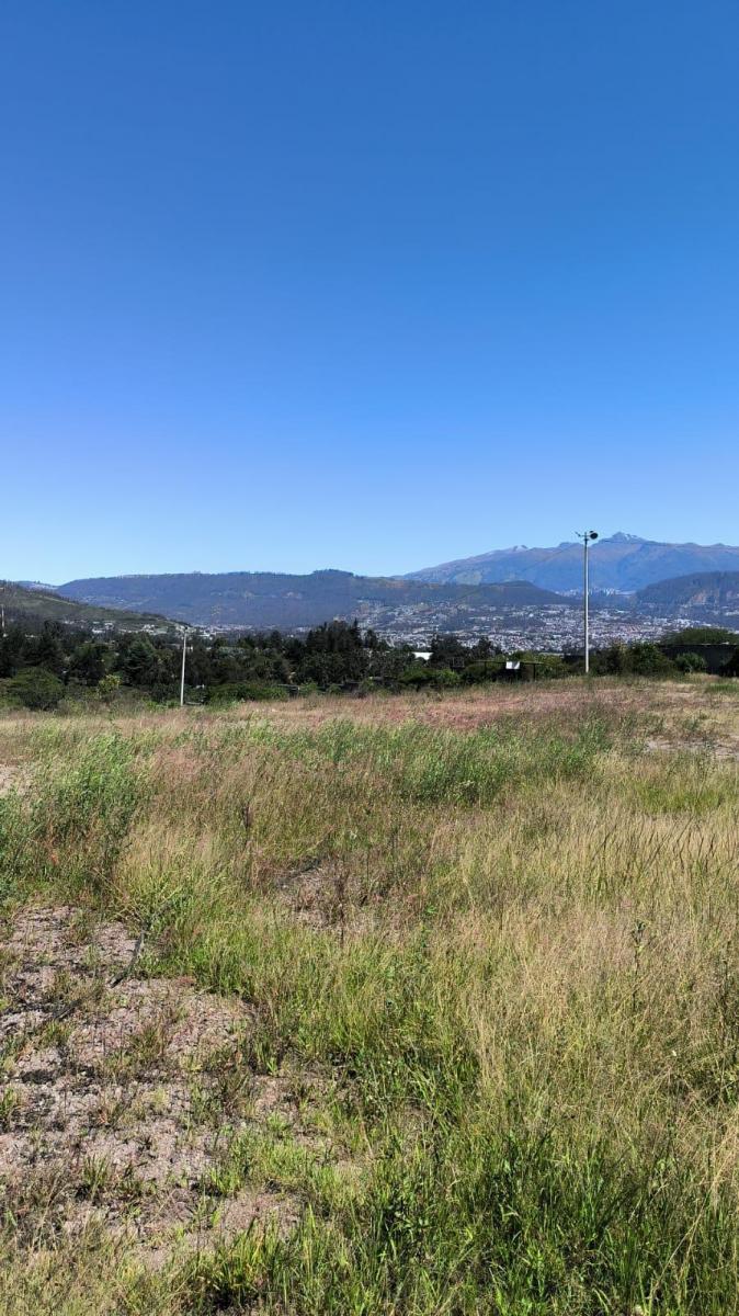 Venta Terreno 34.295 m Puembo Cerca a Via Principal — imagen 6