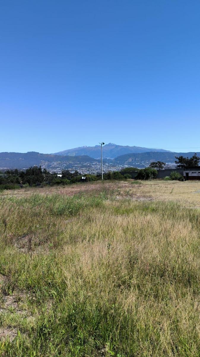 Venta Terreno 34.295 m Puembo Cerca a Via Principal — imagen 5