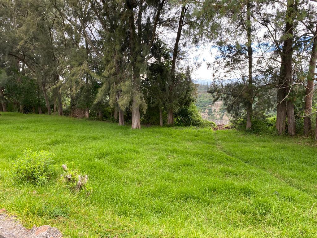 Venta Terreno 34.295 m Puembo Cerca a Via Principal — imagen 4
