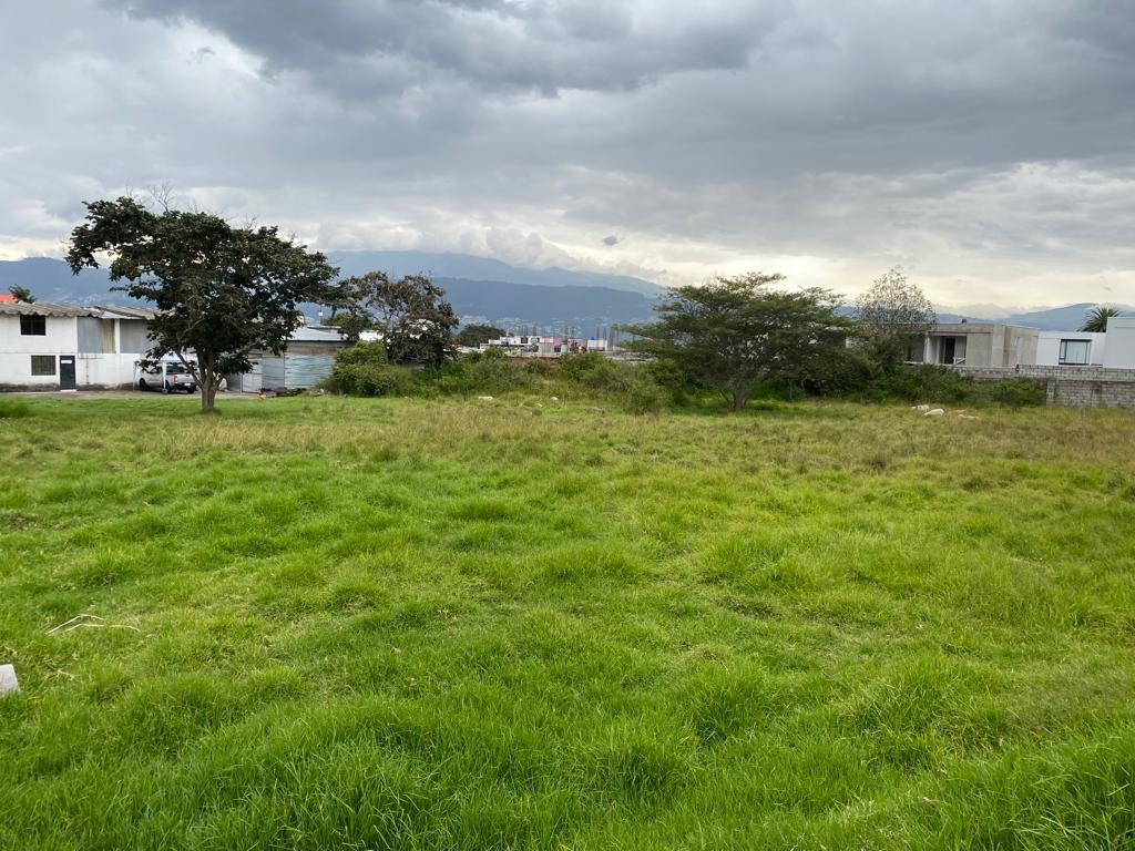 Venta Terreno 34.295 m Puembo Cerca a Via Principal — imagen 3