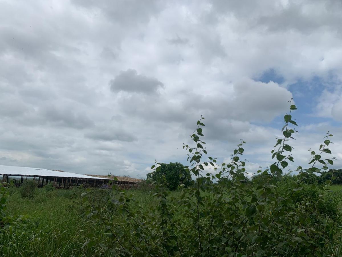 Terreno en Montecristi Sector Los Bajos, Manabí — imagen 10