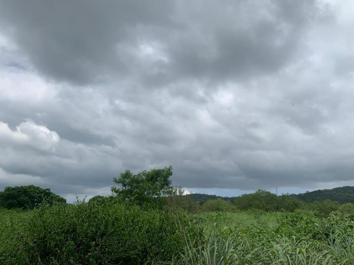 Terreno en Montecristi Sector Los Bajos, Manabí — imagen 9