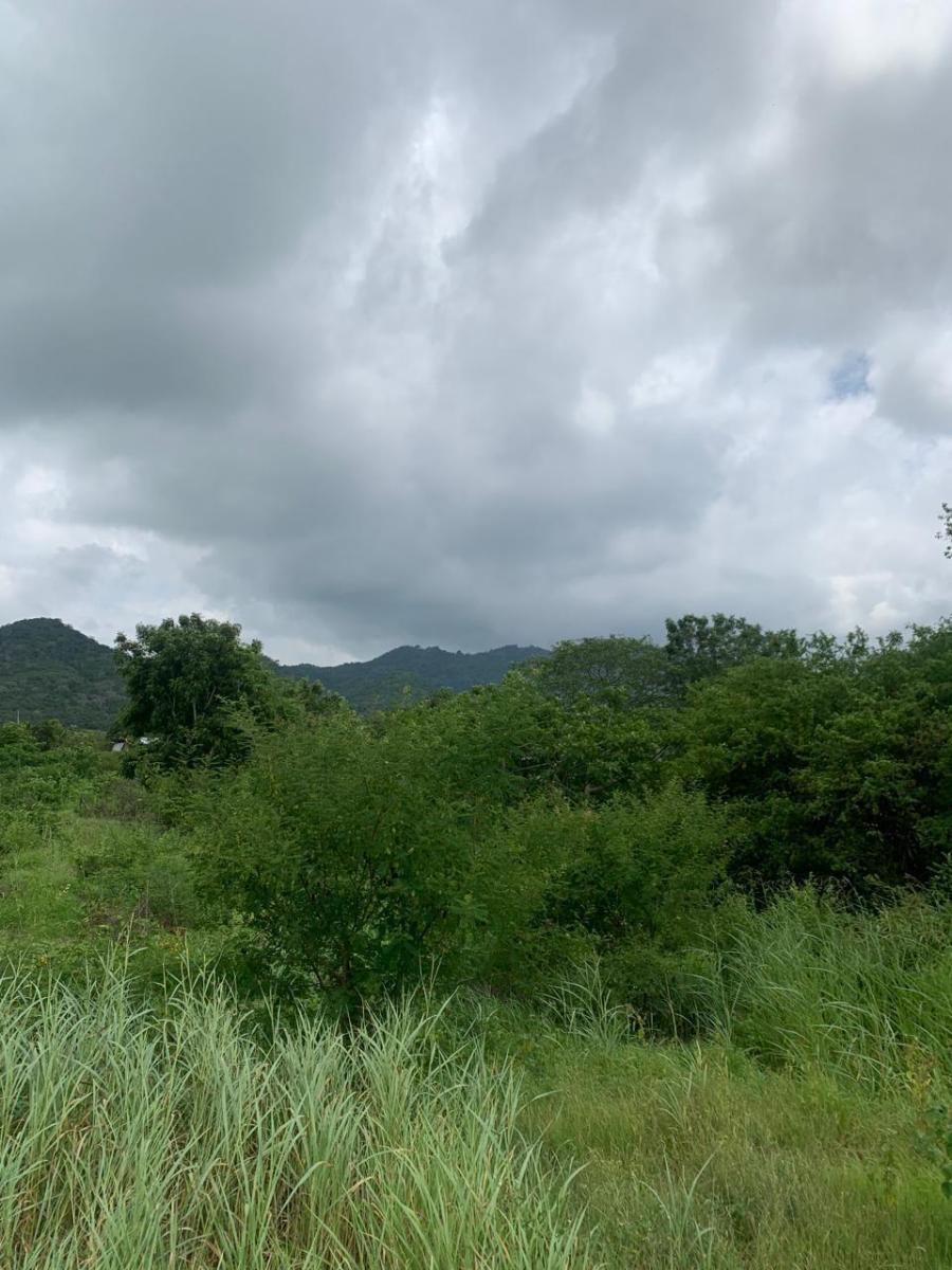 Terreno en Montecristi Sector Los Bajos, Manabí — imagen 8