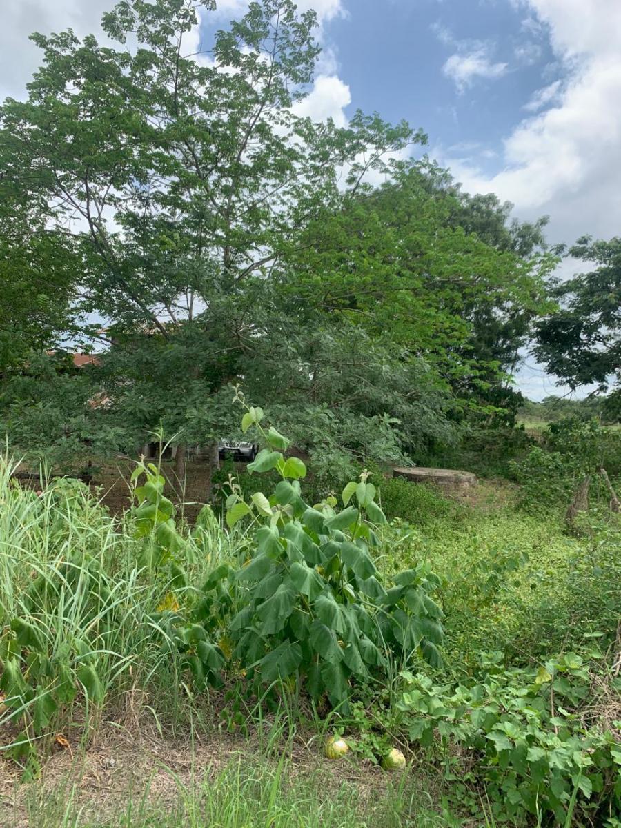 Terreno en Montecristi Sector Los Bajos, Manabí — imagen 7