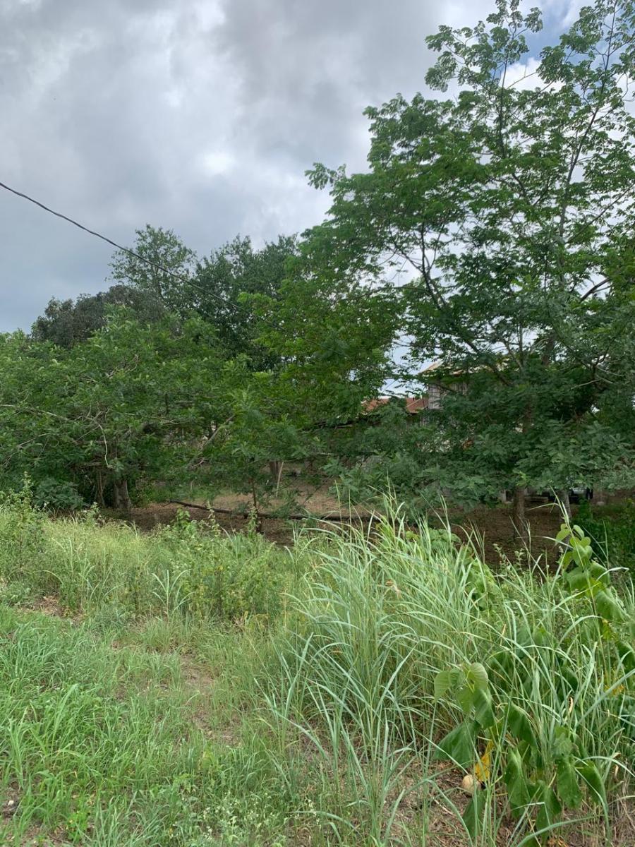 Terreno en Montecristi Sector Los Bajos, Manabí — imagen 6