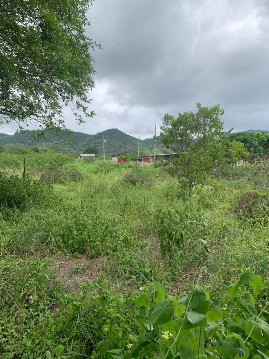 Terreno en Montecristi Sector Los Bajos, Manabí — imagen 4