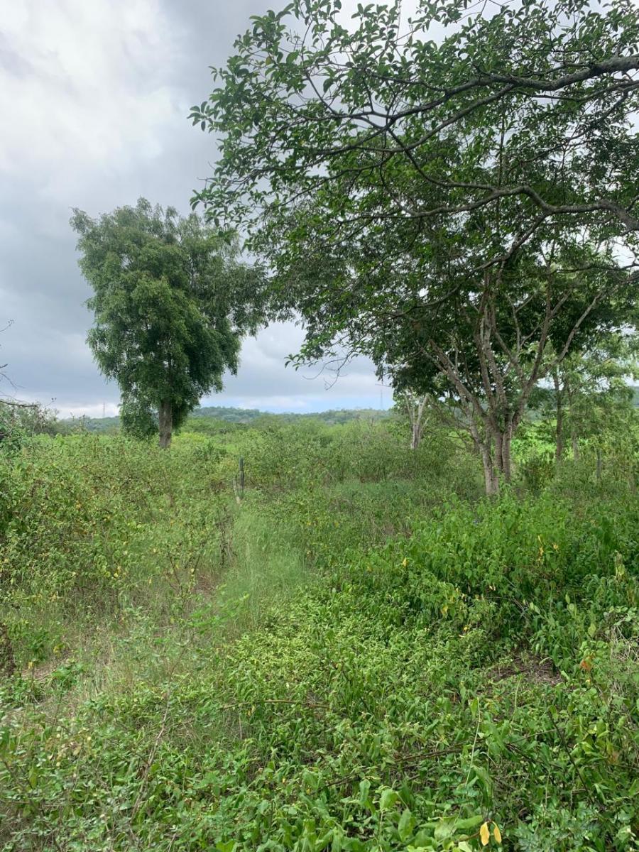 Terreno en Montecristi Sector Los Bajos, Manabí — imagen 3