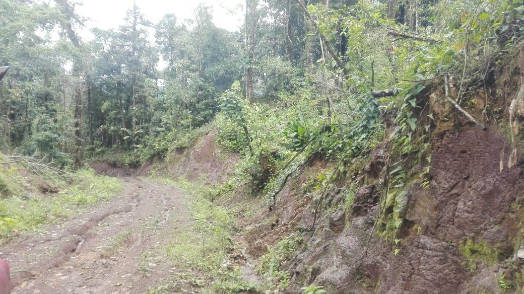 Vendo Finca - Sector Lumbaqui — imagen 10