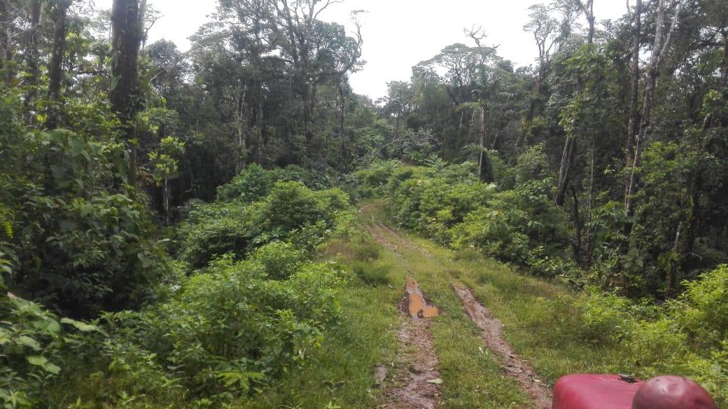 Vendo Finca - Sector Lumbaqui — imagen 6