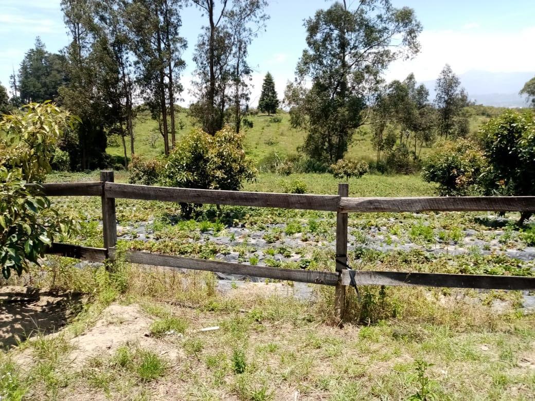 Vendo Terreno con Casa en Yaruqui - Sector Oton de Velez — imagen 6