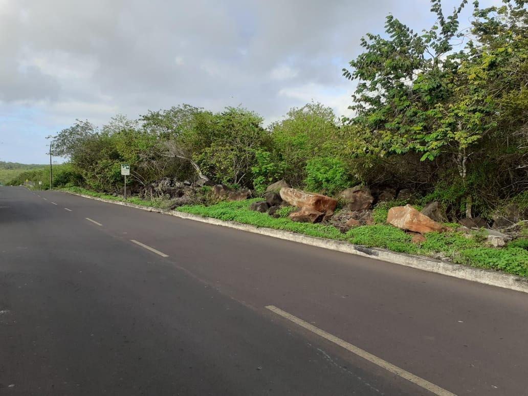 Venta Terreno Galapagos 7500 m², Galápagos — imagen 8