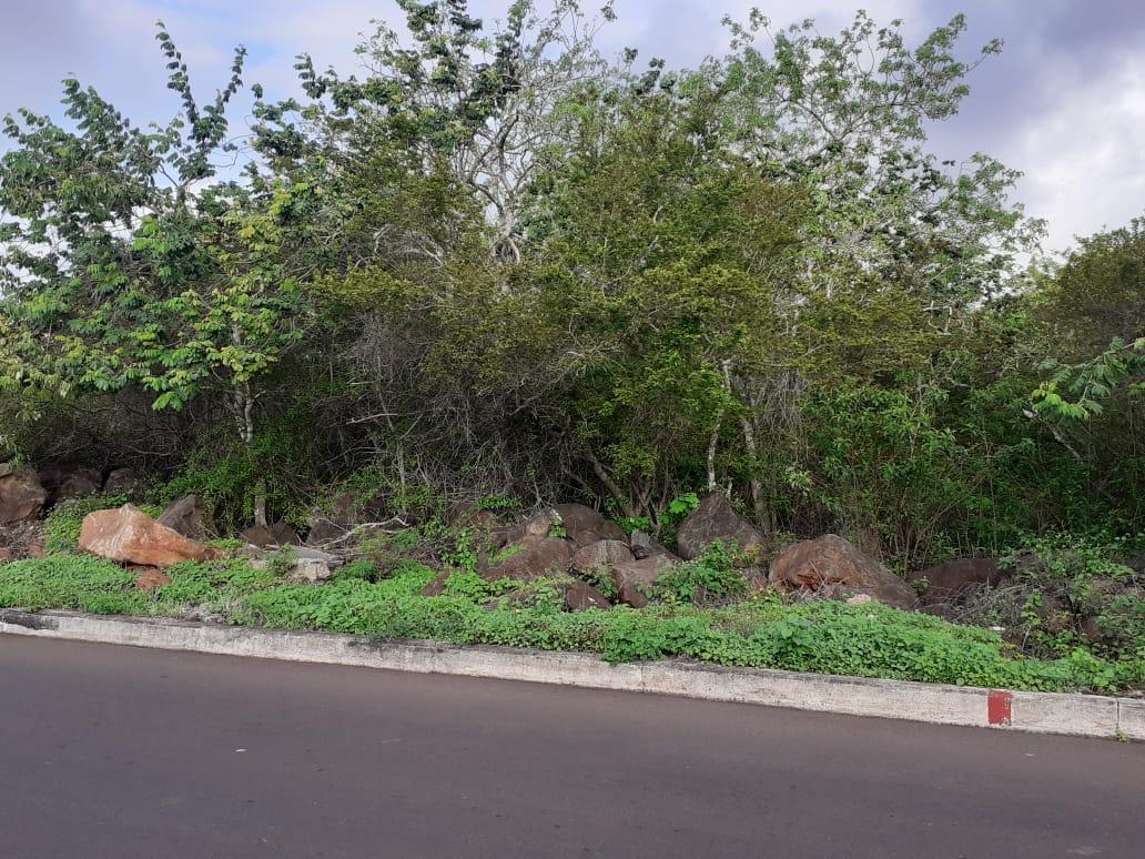 Venta Terreno Galapagos 7500 m², Galápagos — imagen 5