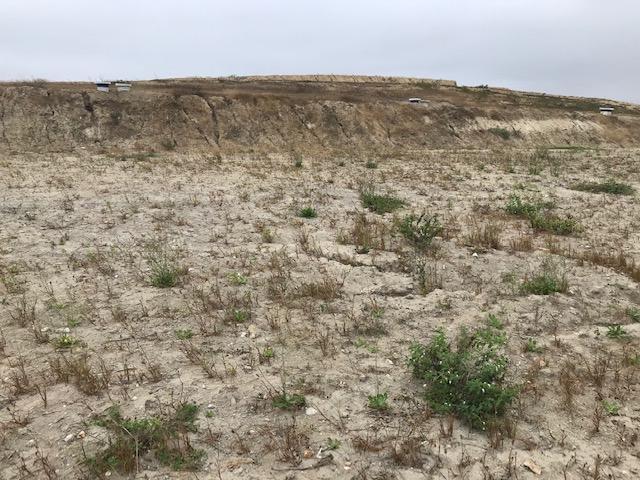 Terreno en Venta en La Urbanizacion Playa Alta, Punto Tortuga, Santa Marianita, Manabí — imagen 8