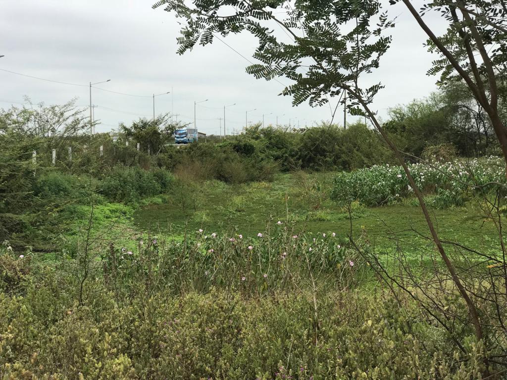 En Venta Terreno Industrial Durán - Tambo Fraccionado - K. Aguirre, Guayas — imagen 8