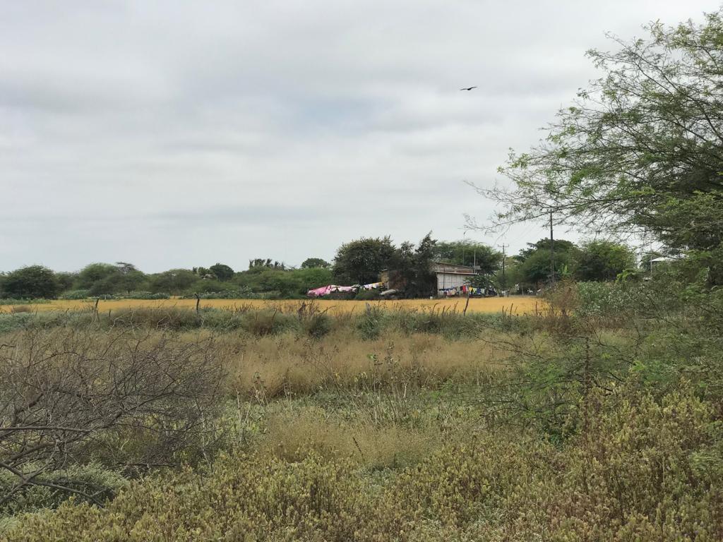 En Venta Terreno Industrial Durán - Tambo Fraccionado - K. Aguirre, Guayas — imagen 7