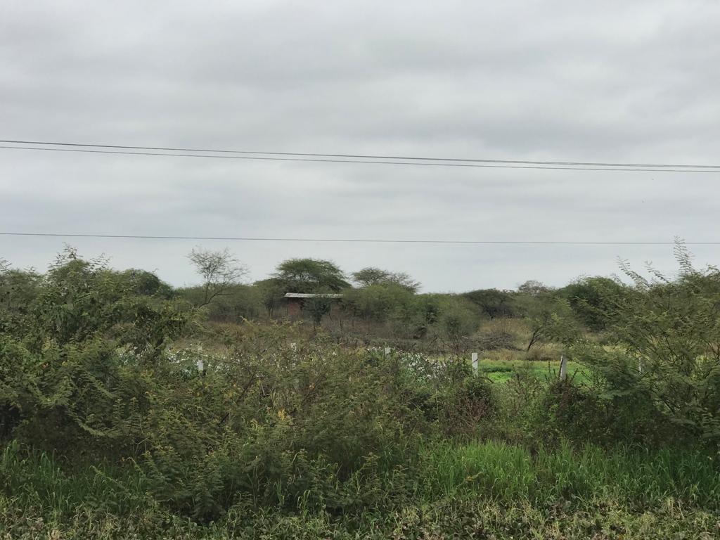 En Venta Terreno Industrial Durán - Tambo Fraccionado - K. Aguirre, Guayas — imagen 6
