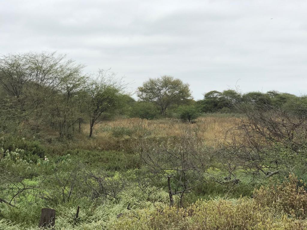 En Venta Terreno Industrial Durán - Tambo Fraccionado - K. Aguirre, Guayas — imagen 5