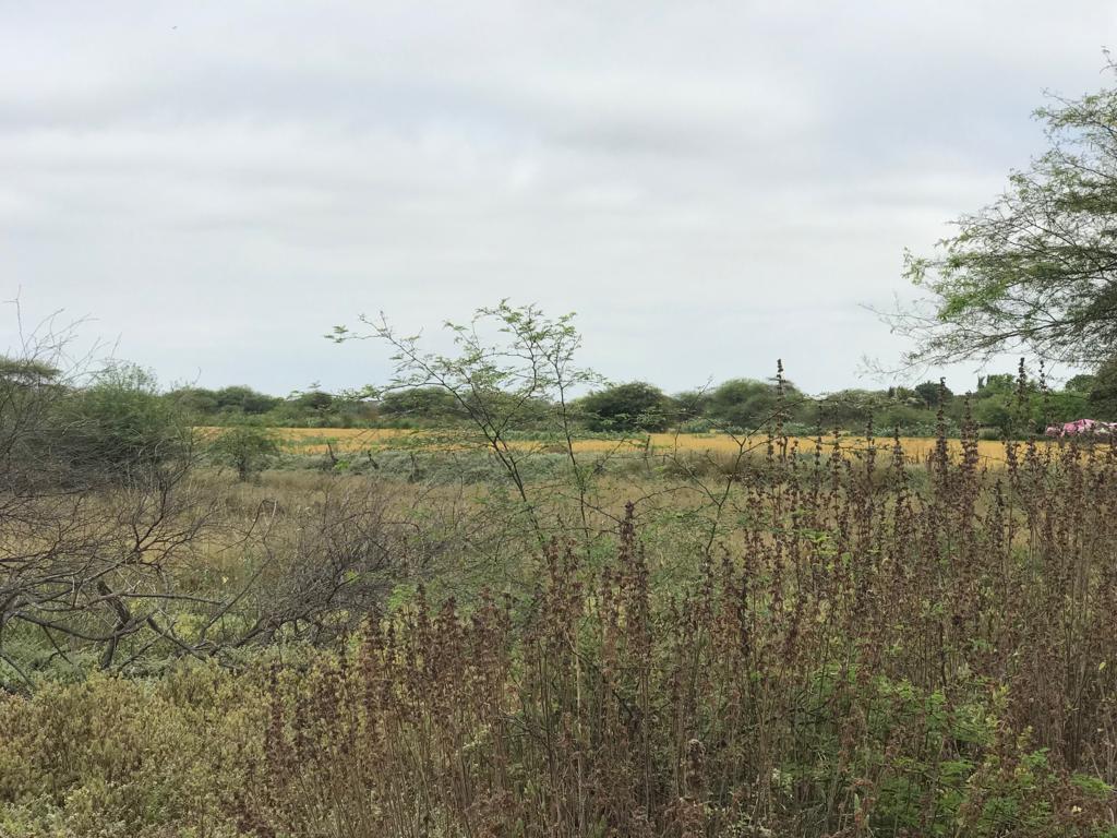 En Venta Terreno Industrial Durán - Tambo Fraccionado - K. Aguirre, Guayas — imagen 4