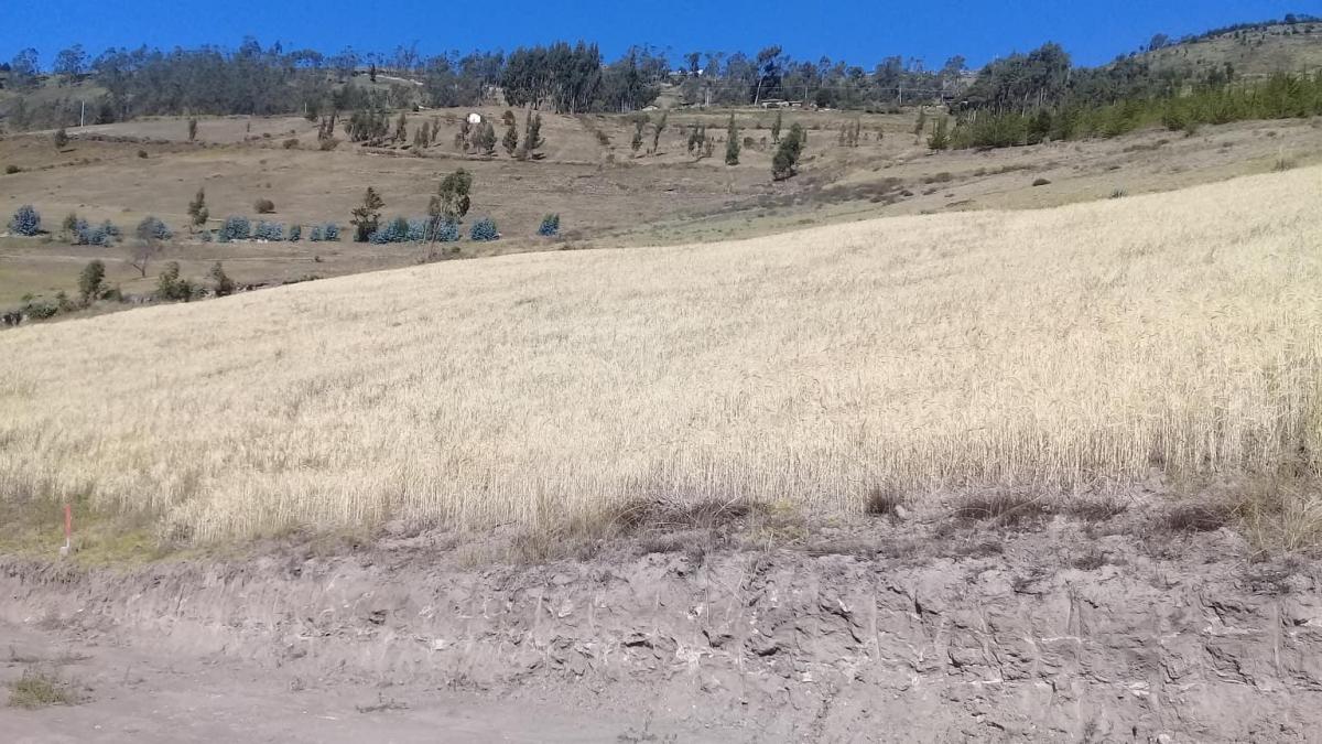 Terreno en Samanga, Tungurahua — imagen 8