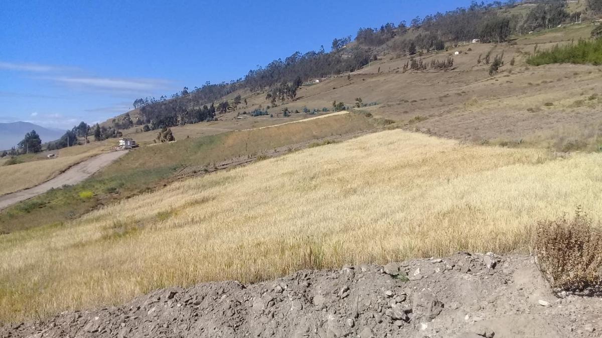 Terreno en Samanga, Tungurahua — imagen 5