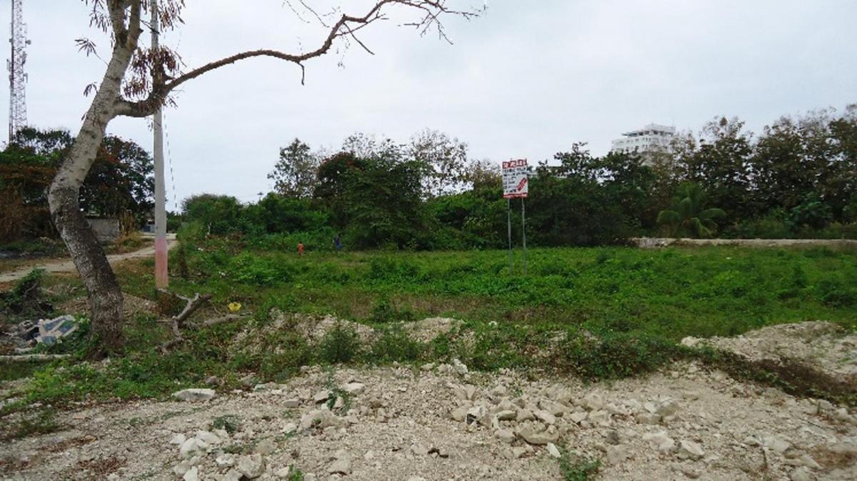 Lote de Terreno en Same — imagen 8