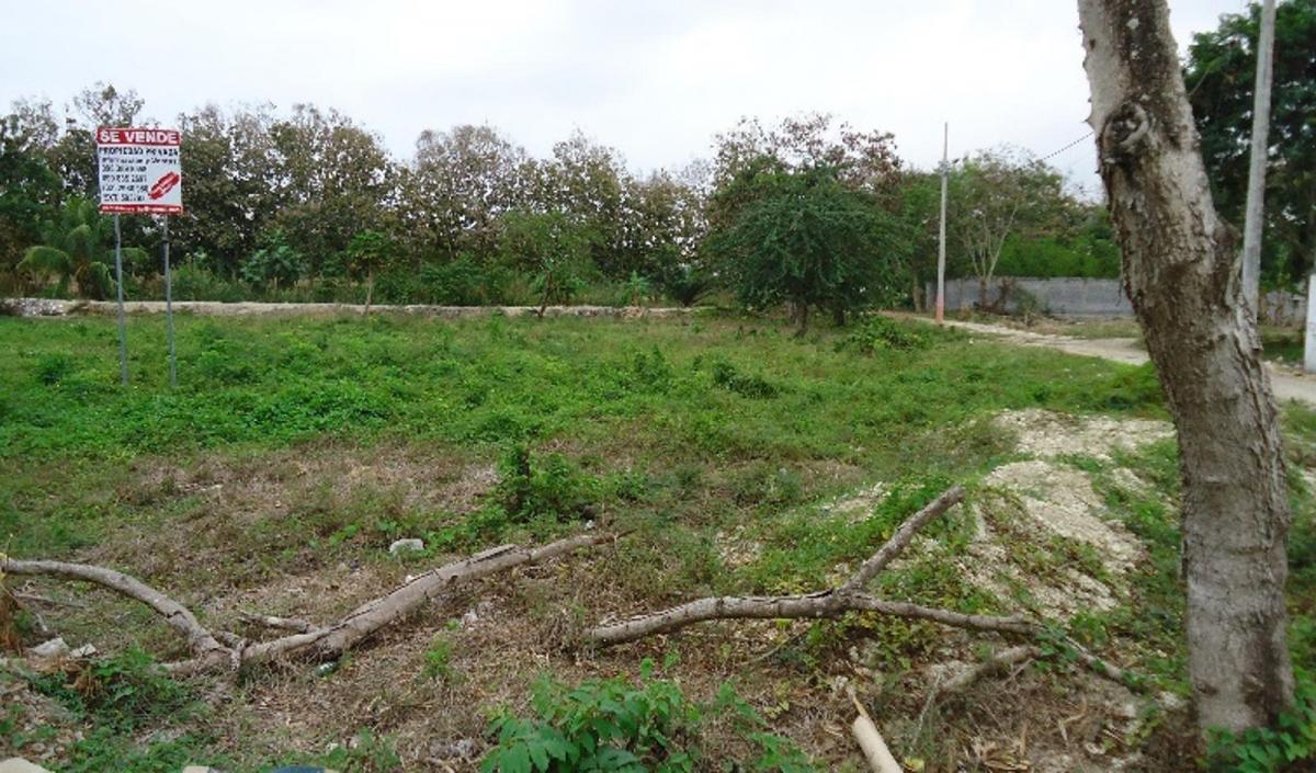 Lote de Terreno en Same — imagen 7
