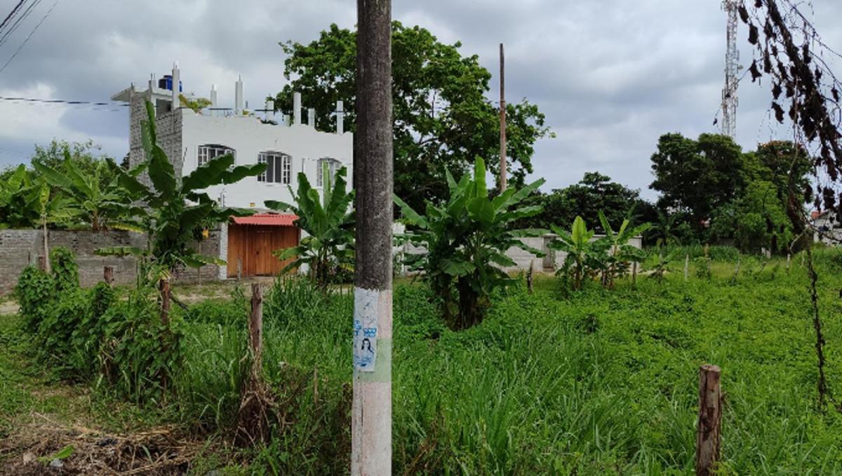 Lote de Terreno en Same — imagen 6