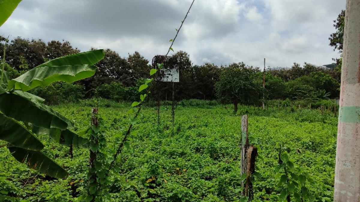 Lote de Terreno en Same — imagen 5