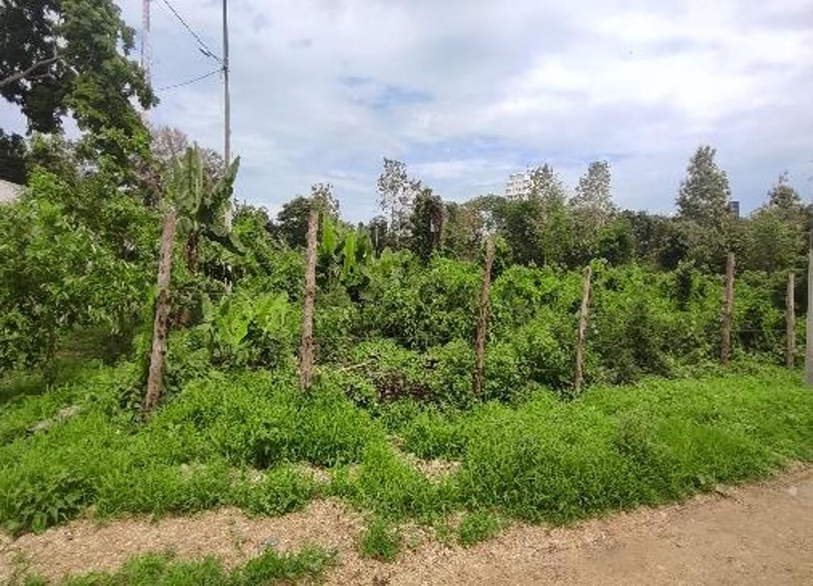 Lote de Terreno en Same — imagen 3