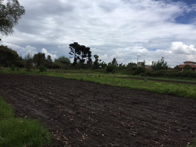 Vendo Terreno en Puembo 7.173 m² Uso Suelo Recurso Natural Renovable $900.000 — imagen 10