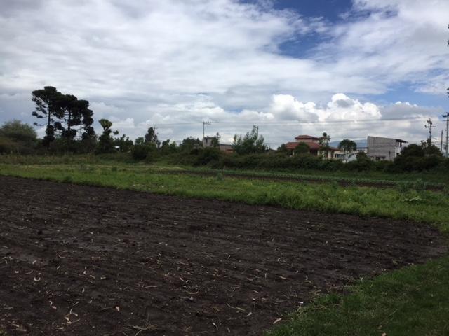 Vendo Terreno en Puembo 7.173 m² Uso Suelo Recurso Natural Renovable $900.000 — imagen 9