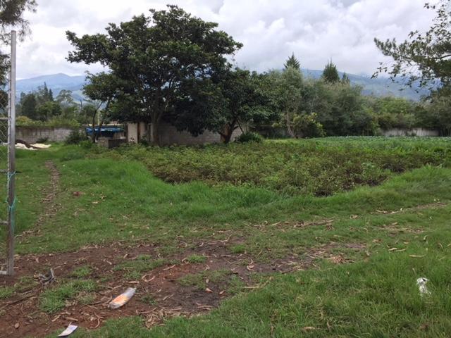 Vendo Terreno en Puembo 7.173 m² Uso Suelo Recurso Natural Renovable $900.000 — imagen 8